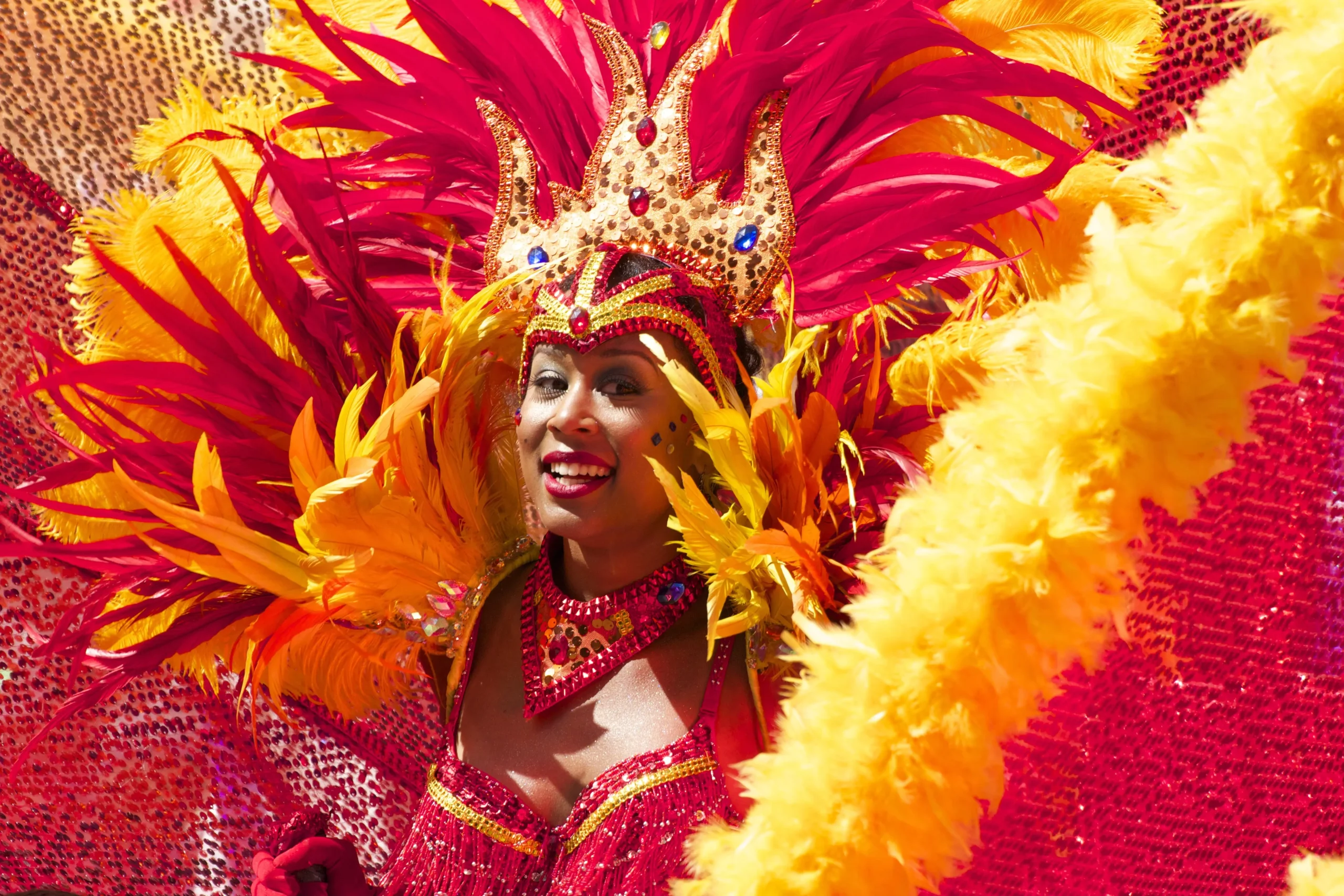 Read more about the article Rio Carnival Samba in the Streets