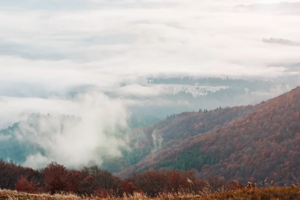 The Great Smoky Mountains, USA