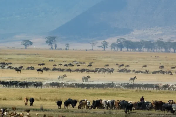 Tanzania with Away Exotics – The Wild Calls, and Luxury Answers